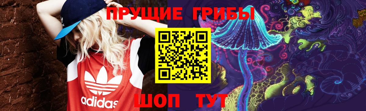 Чистополь  Псилоцибиновые грибы ЛСД  Вход с VPN 