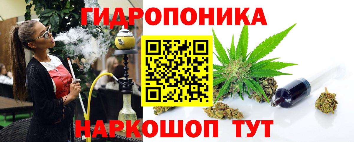 Бошки марихуана Bruce Banner  Каннабис план  Вход с VPN  Шишки марихуана конопля  Бошки Шишки гибрид  Чистополь 